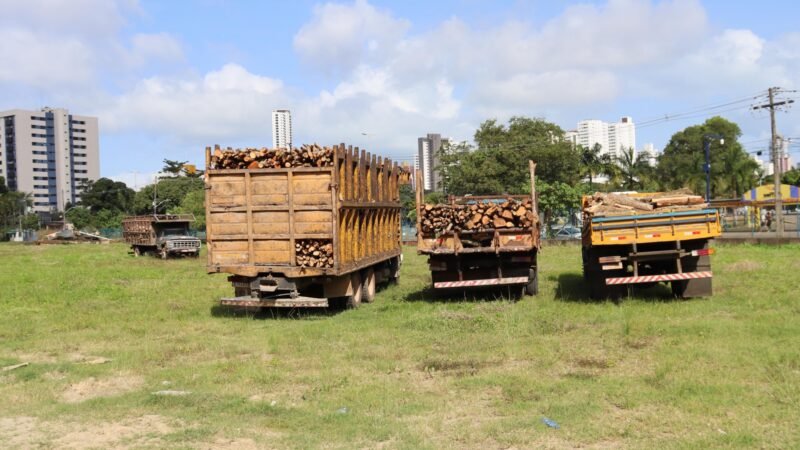 Em uma semana, CPRH apreende quatro caminhões transportando madeira irregular
