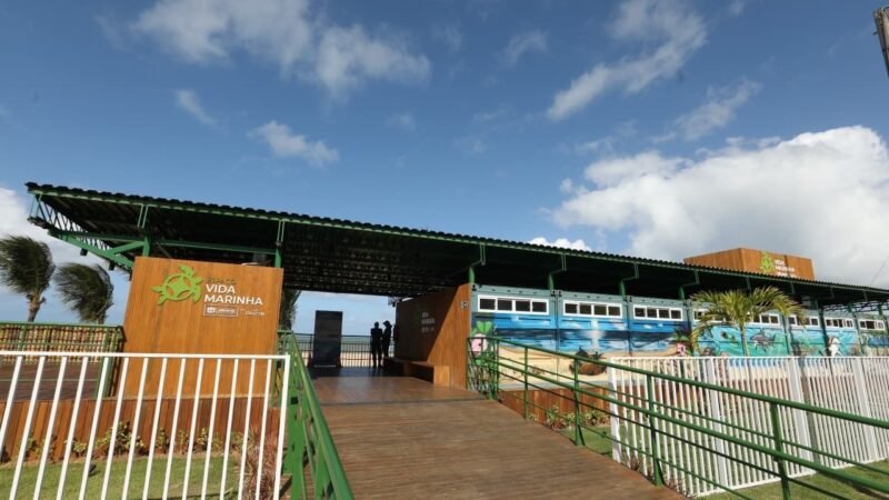 Espaço Vida Marinha leva serviço itinerante às escolas durante período de reforma