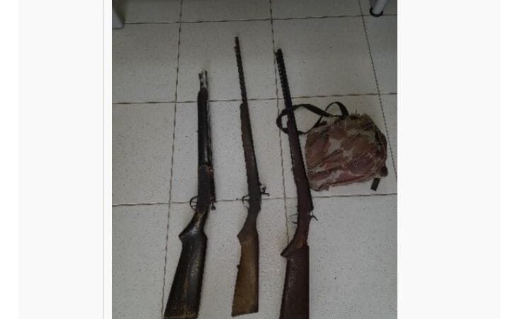 Polícia Militar apreende três espingardas artesanais após denúncia de caça predatória em Calumbi
