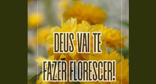 Palavra do dia – O vento que espalha sementes!