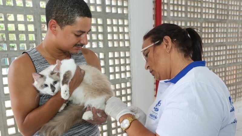 Prefeitura de Jaboatão oferece exames preventivos para saúde de animais no Outubro Pet Rosa