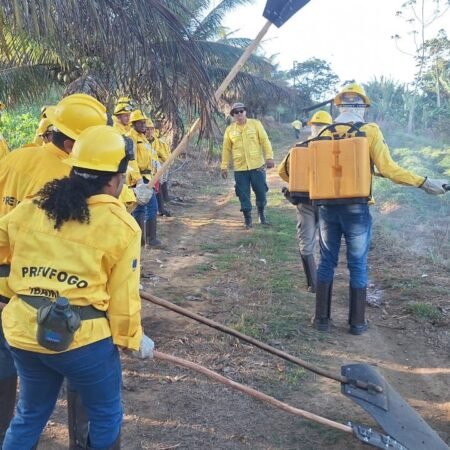 Jaboatão promove treinamento sobre prevenção e combate a incêndios florestais