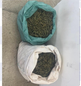 Polícia prende dupla com 12 kg de maconha pronta para o consumo na zona rural de Floresta-PE