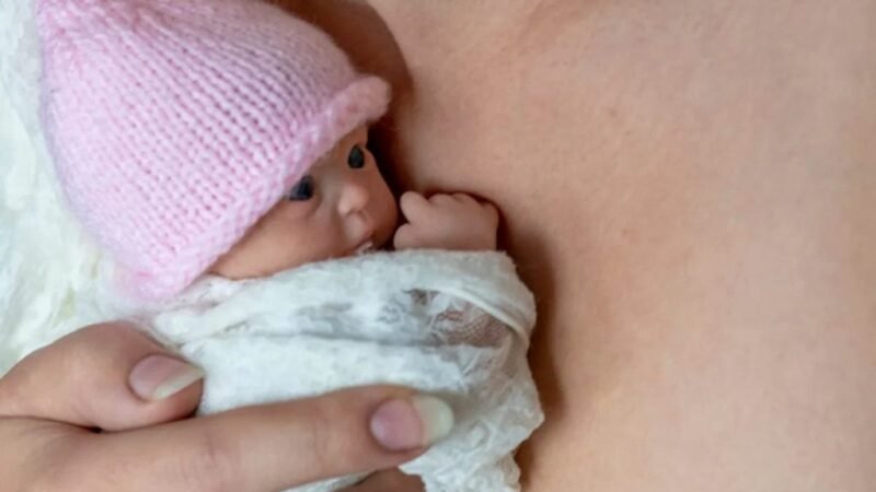 Mulher finge gravidez com boneca reborn e mente que bebê morreu