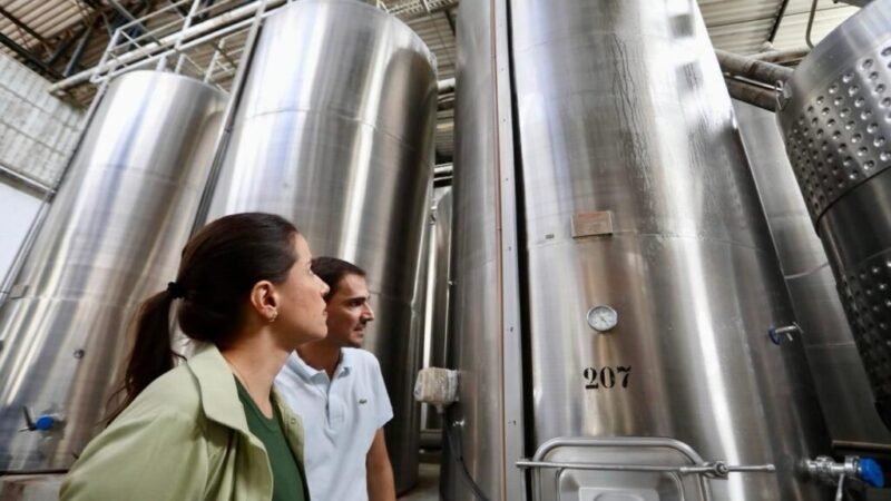 ECONOMIA DE PERNAMBUCO CRESCE MAIS NO 3º TRIMESTRE QUE A MÉDIA DO PAÍS. RAQUEL RESSALTA MOMENTO