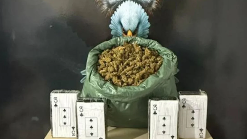 Polícia Civil apreende mais de 11 kg de drogas e prende suspeito por tráfico em Petrolina (PE)