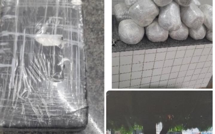 PM apreende mais de 22 quilos de drogas e prende suspeito por tráfico na BR-316, em Itacuruba