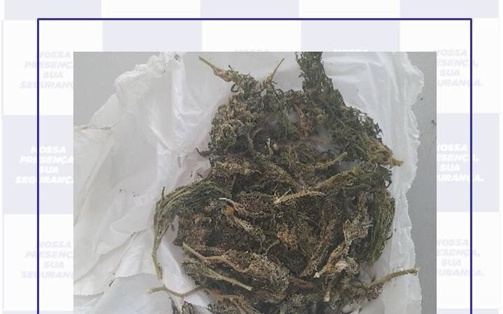 Dupla é flagrada com maconha durante patrulhamento da PM no distrito de Fátima, em Flores