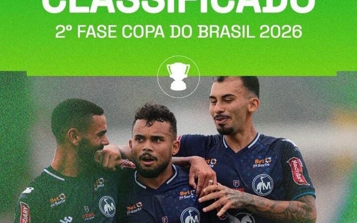 CLASSIFICAÇÃO HISTÓRICA DO AZULÃO