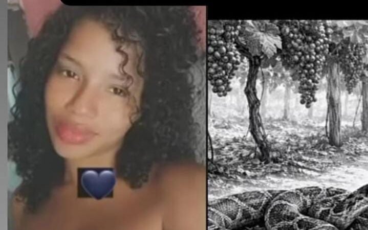 TRAGÉDIA NO CAMPO EM PETROLINA-PEUma trabalhadora rural grávida morreu após ser picada por uma cobra jararaca na manhã desta terça-feira (17), na região do Projeto N5, em Petrolina