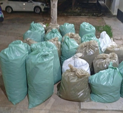 Operação policial resulta na apreensão de mais de meia tonelada de maconha na zona rural de Santa Maria da Boa Vista