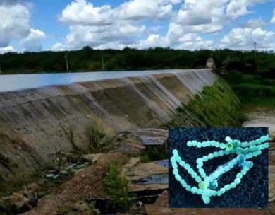 Prefeitura de Terra Nova-PE alerta sobre consumo de água da Barragem Nilo Coelho após constatação de nível elevado de bactérias