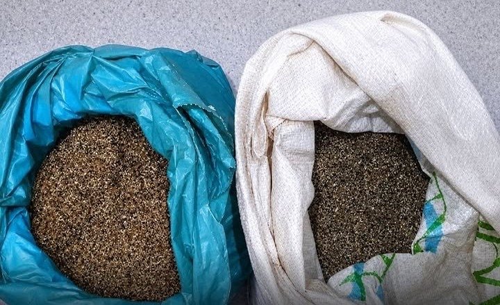 Policiais do BEPI apreendem 20 kg de maconha na zona rural de Salgueiro