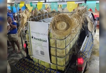 Pamonha gigante de 1,3 tonelada coloca cidade nordestina no livro dos recordes