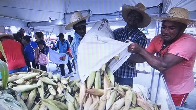 Prefeitura promove 3º Festival do Milho do Jaboatão dos Guararapes