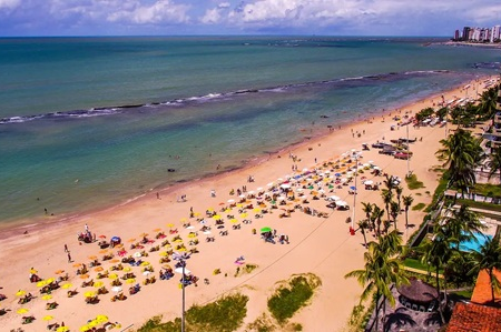 Pernambuco volta a monitorar tubarões na orla após 10 anos