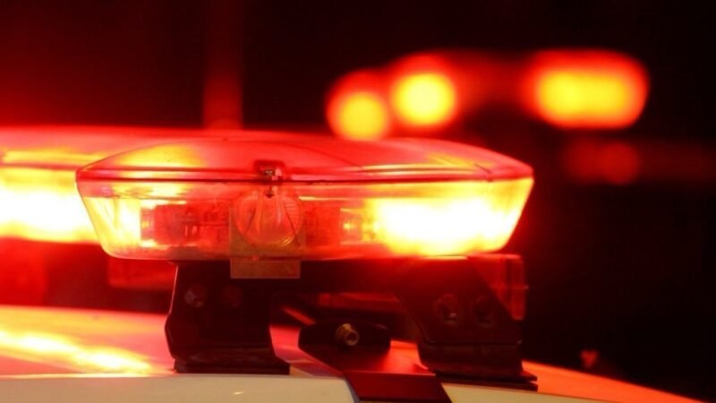 Polícia encontra armas, munições e 49 porções de maconha em ponto de tráfico em Serra Talhada