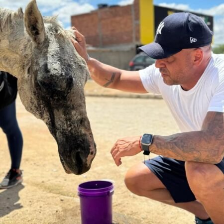 Anderson Correia intensifica combate aos maus-tratos contra animais em Caruaru
