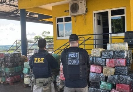 Polícia apreende 3,5 toneladas de skunk escondidas em carga de caminhão. Veja
